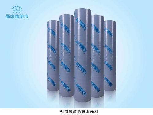 專業(yè)化贏口碑——雨中情防水助力陜西省重點工程防水保溫工程